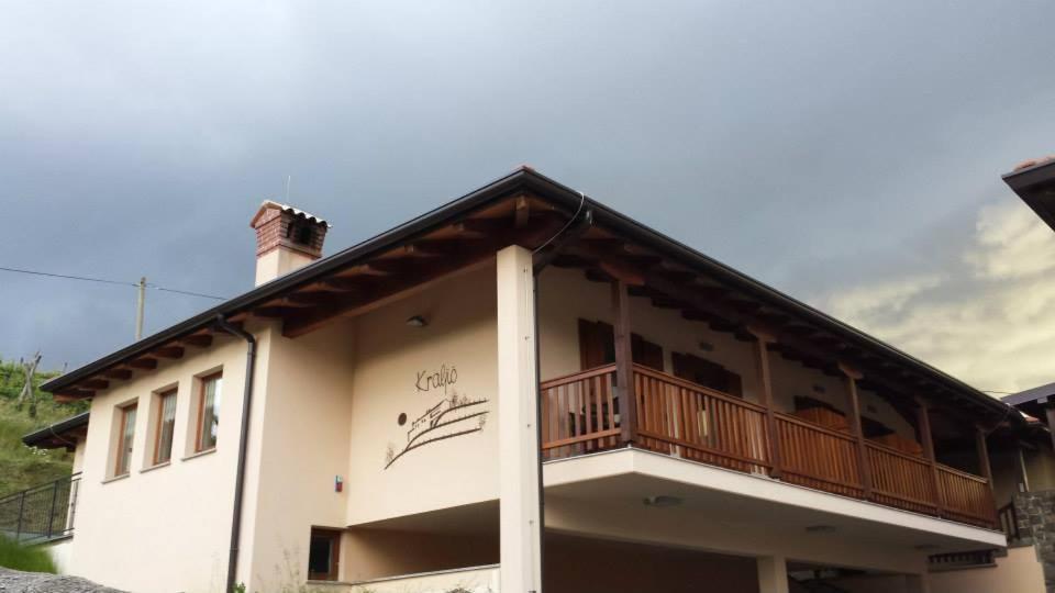 Kraljic - Primoz Cotar Bed & Breakfast Dornberk Exterior photo
